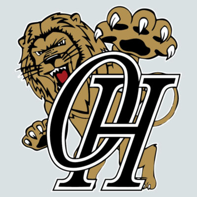 OHHS - Adult Colorblock Raglan Jersey Design